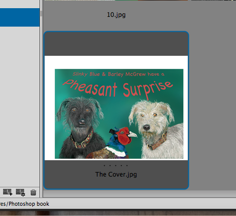 Screen Shot 2017-04-09 at 07.56.22.png